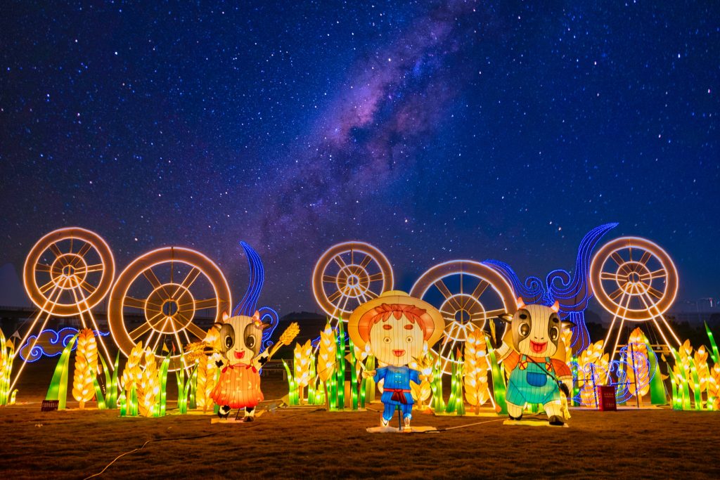 看花海赏花灯,华侨城光明欢乐田园陪你留深过牛年