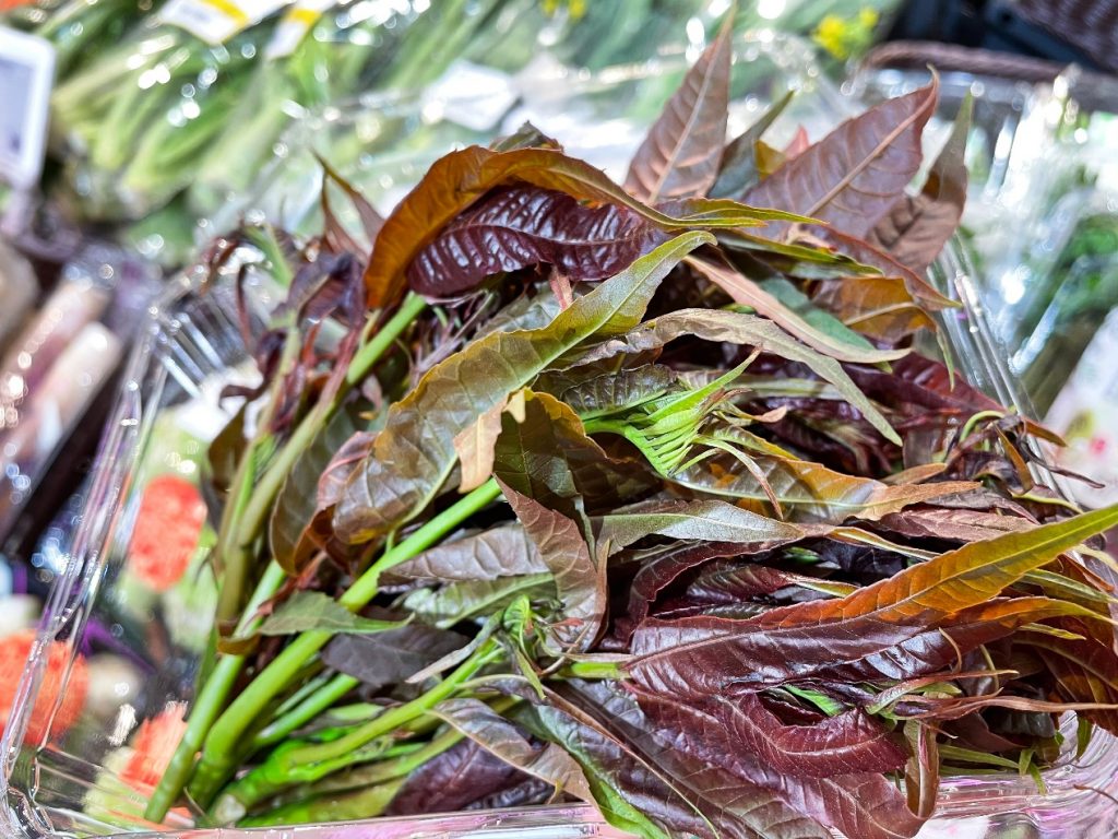 盒马春菜抢先登场 60种“春鲜”能从2月吃到5月