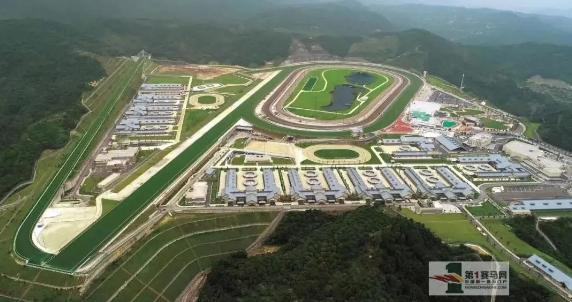 粤港澳大湾区创建世界级马产业经济圈