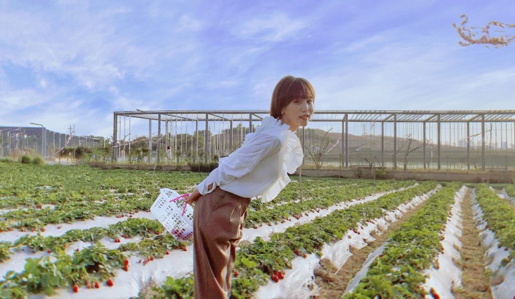 看花海赏花灯,华侨城光明欢乐田园陪你留深过牛年