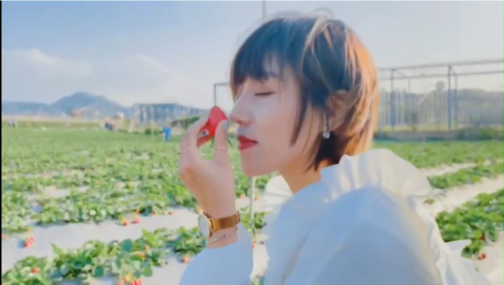 看花海赏花灯,华侨城光明欢乐田园陪你留深过牛年
