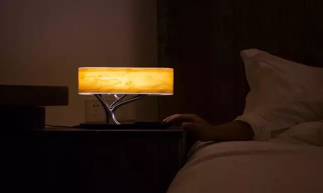 树之光丨以树之光，用声光治愈你