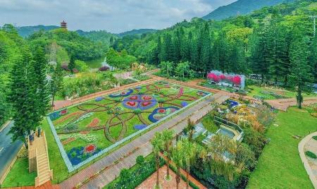 2021粤港澳大湾区深圳花展今开幕