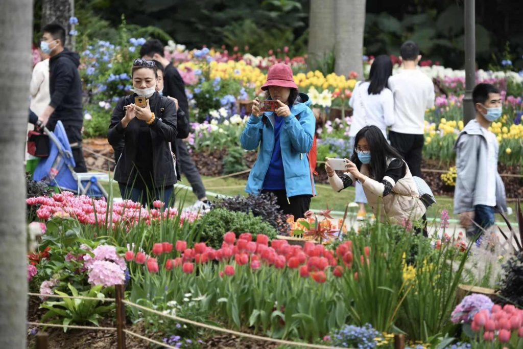 奔赴花海 踏青赏春，2021粤港澳大湾区深圳花展热闹非凡！