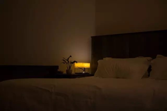 树之光丨以树之光，用声光治愈你