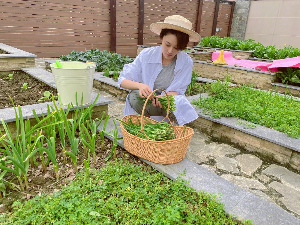 婚后风格大变！张馨予晒菜园照 打扮素净