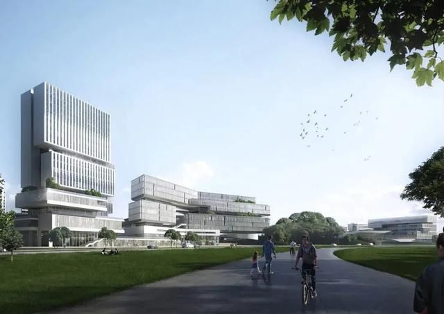 广东披露“粤港澳大湾区大学”建设思路：每3~5年动态调整课程