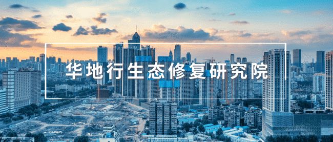 碳中和背景下粤港澳大湾区面对的机遇与挑战