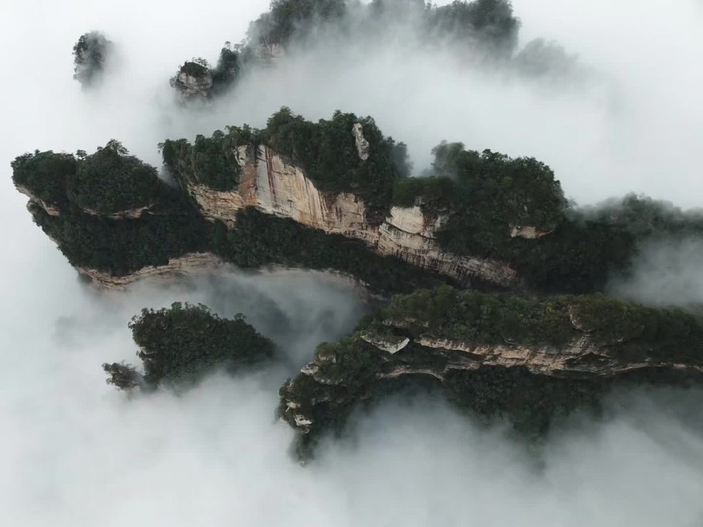 张家界在深举行文化旅游暨招商引资推介会三大重点招商产业抛出“橄榄枝”
