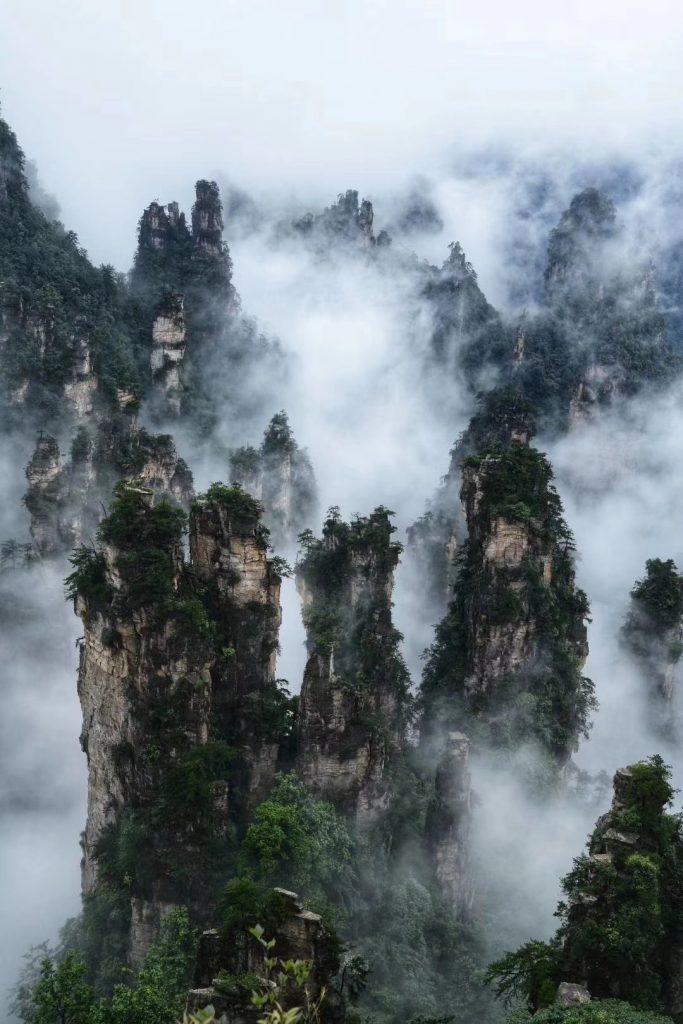 张家界在深举行文化旅游暨招商引资推介会三大重点招商产业抛出“橄榄枝”