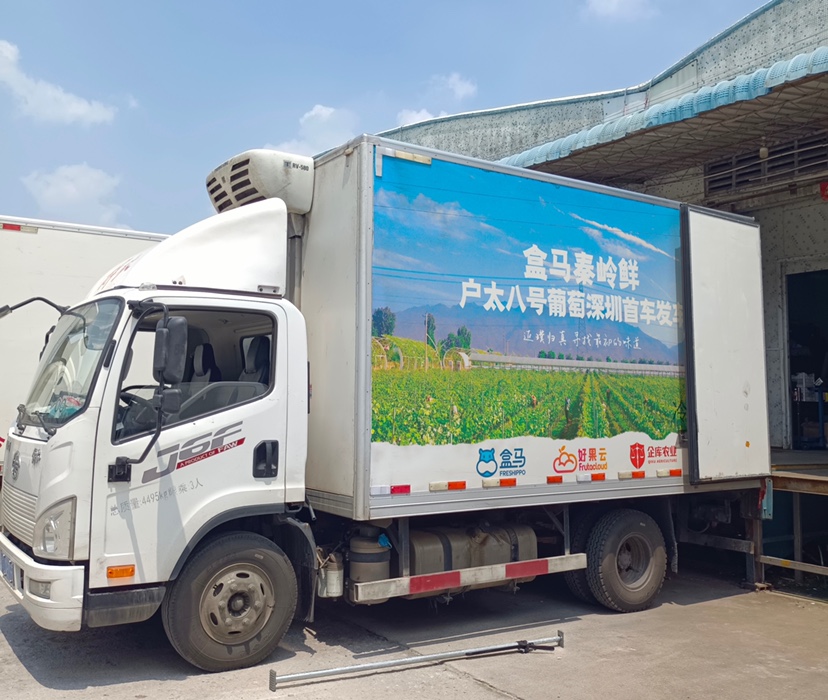 从“空气感外套”到定植包园 盒马为户太八号“出陕”操碎了心