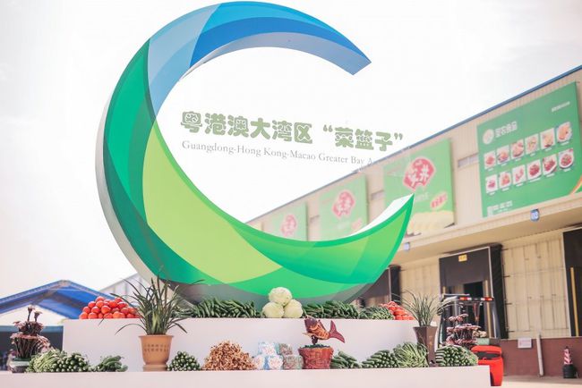 携手国家纳米科技创新研究院，韶关打造粤港澳大湾区特色经验