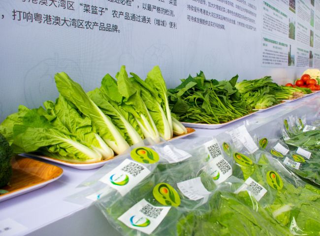 广东农业农村“十四五”规划出炉：将建十个大湾区无人农场
