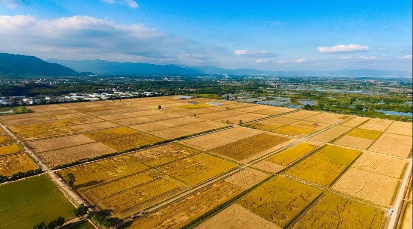 粤港澳大湾区现代都市农业综合示范基地授牌！