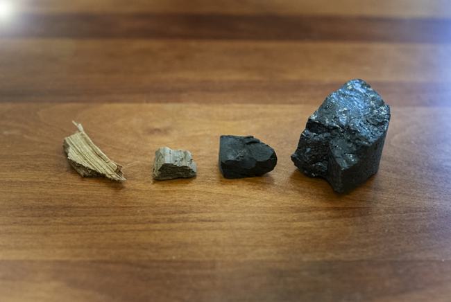 《科学》揭示煤炭成因：微生物直接消耗煤甲氧基，还产生甲烷