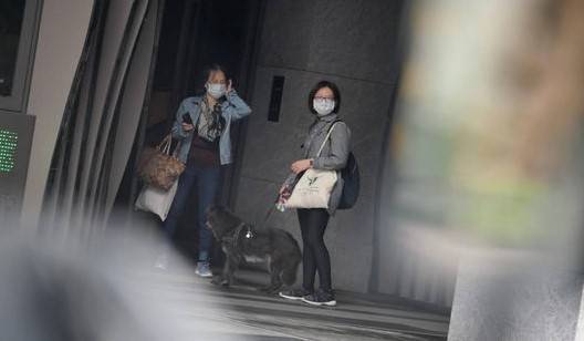 台媒爆林依晨即将复出 婆婆现身月子中心探望