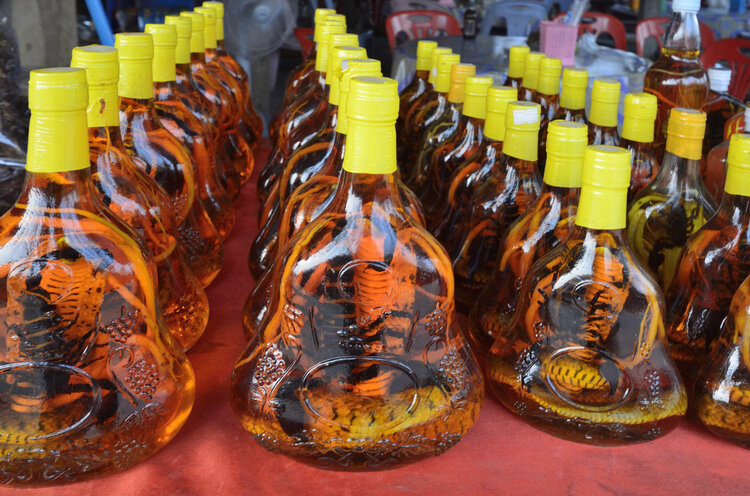 男子被酒中泡3个月的蛇咬中毒，为何蛇没有死？