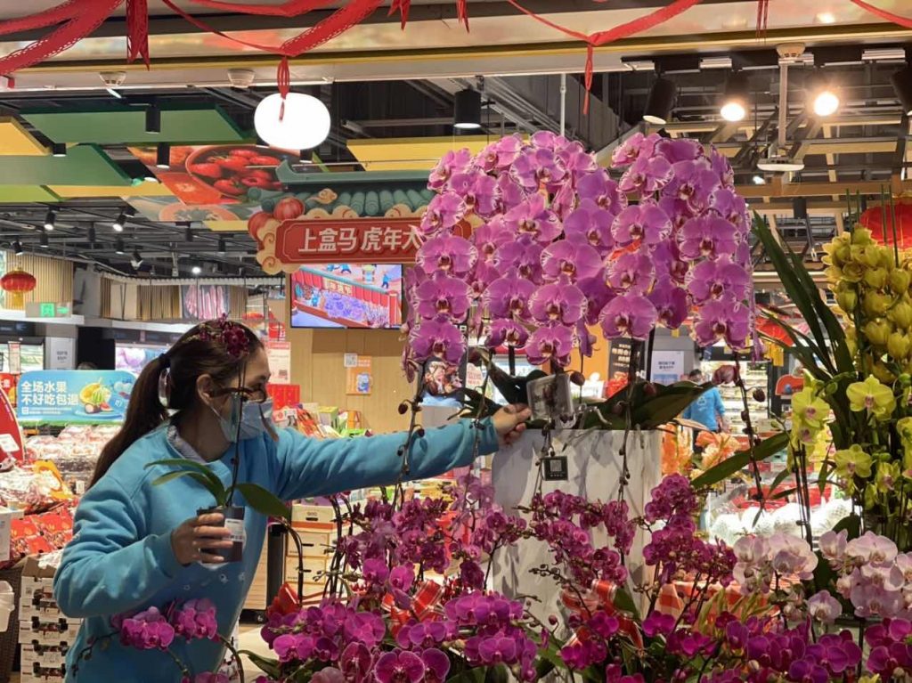 整只年猪、鳄鱼掌、鞭炮羊肉卷 “盒马家”的年货靠“奇葩”出圈