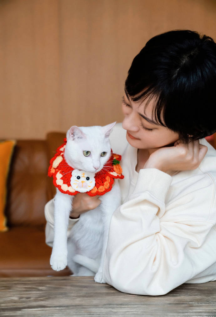 孙俪与领养猫咪合照 穿白色卫衣气质温柔 