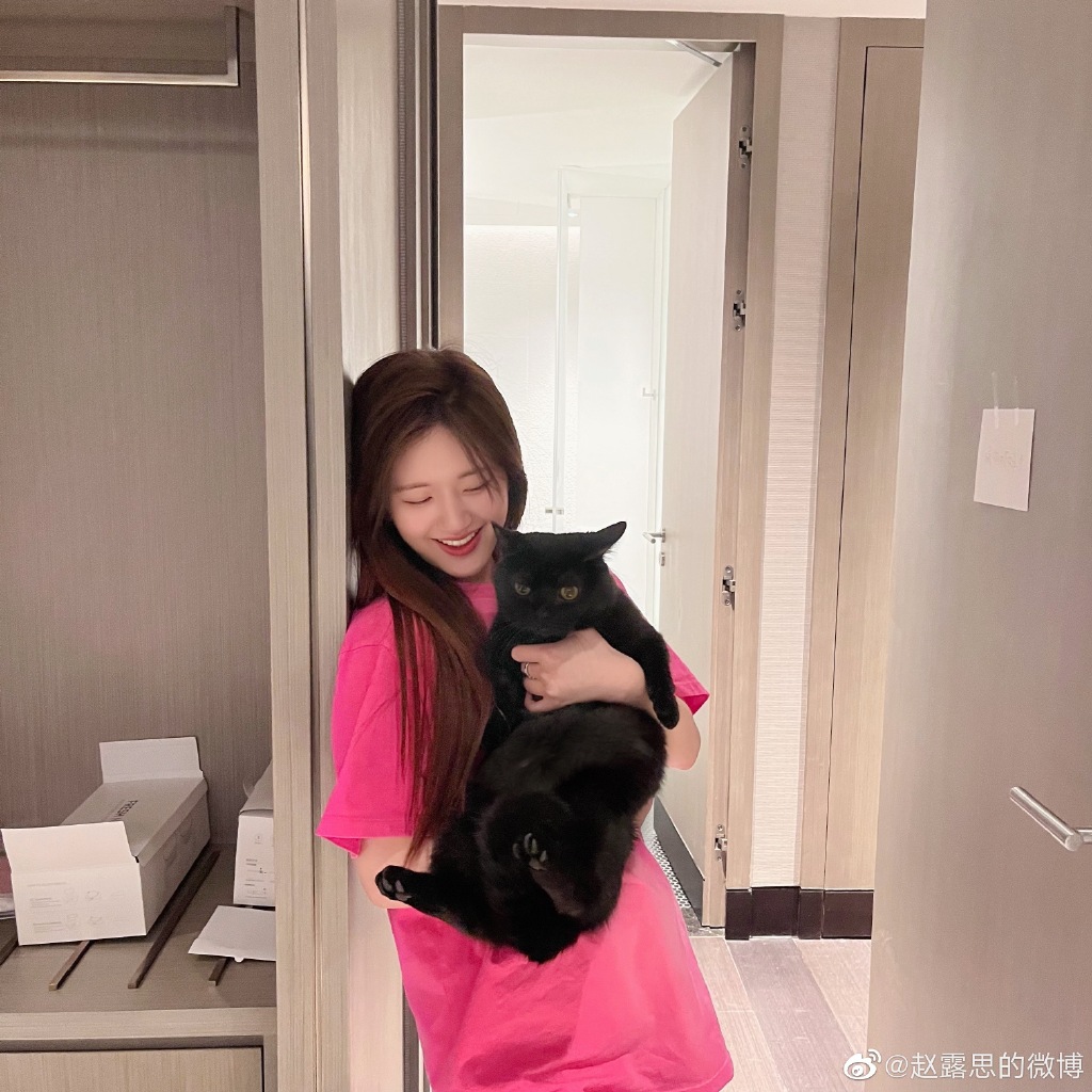 赵露思穿粉衣抱猫 笑容灿烂甜美动人 
