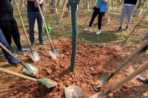 粤港澳台青年植树活动在广州举行 四地青年为香港抗疫鼓劲￼