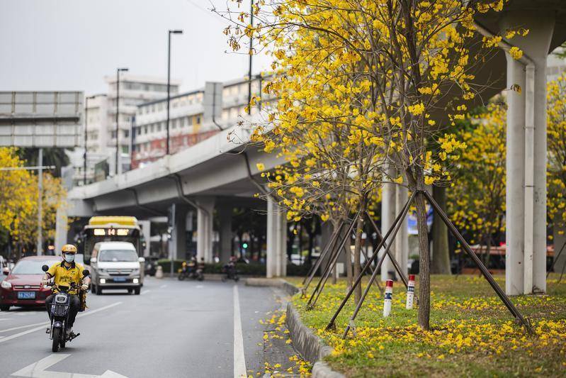 广州市气象台发出今年首个雷雨大风预警信号，降温随后就到 