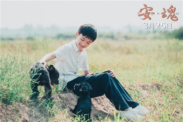 电影《安魂》今日上映 四大看点讲述亲情羁绊 