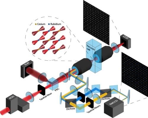 量子计算重大突破：科学家实现512个量子位的中性原子体系 