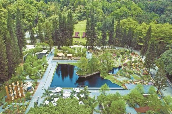 2022粤港澳大湾区深圳花展“云赏花”为市民带来独特体验￼