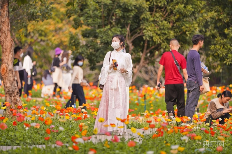 清明小长假 广州推出230多项文旅活动 