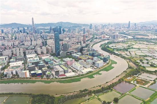 深圳在“双循环”中不断激发发展潜力 
