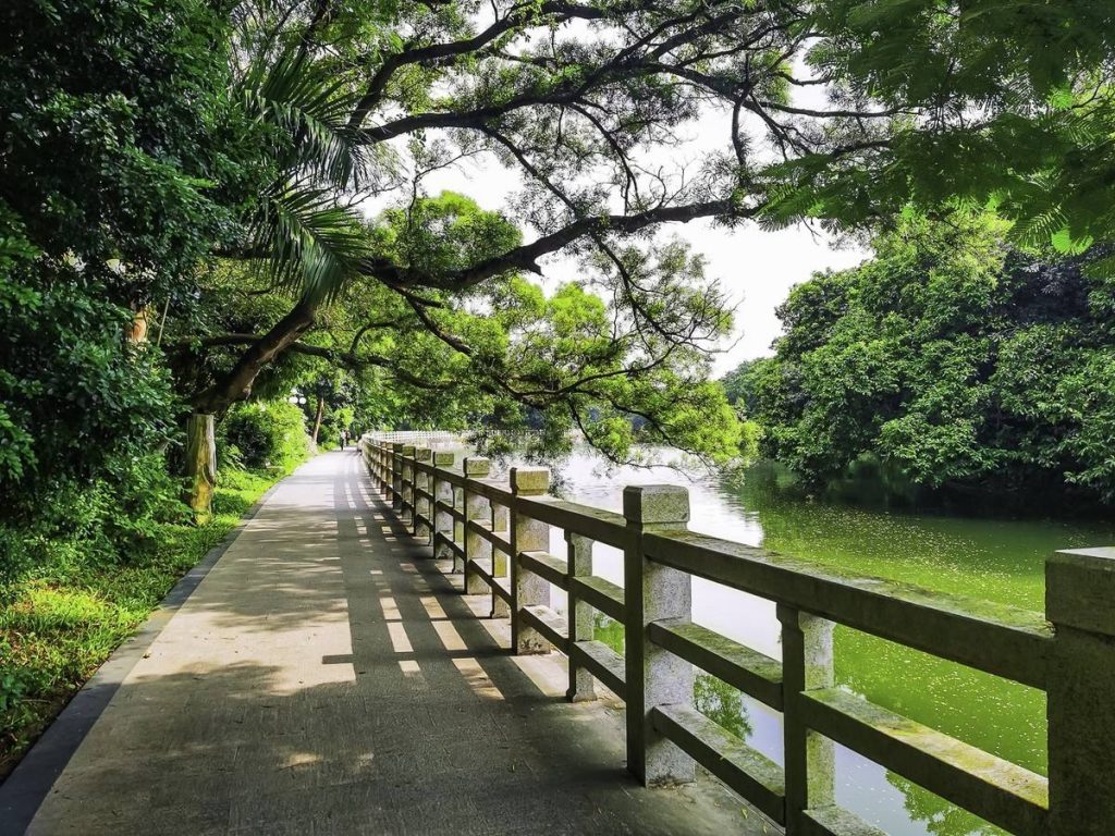 深圳全市公园有序恢复游园 