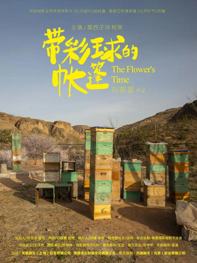 刘苗苗导演新作《带彩球的帐篷》开机，莫西子诗出任男主角 