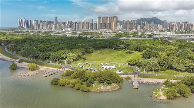 深圳推出“零废露营”新体验 
