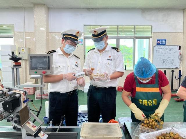 广州从化首次出口黄皮 