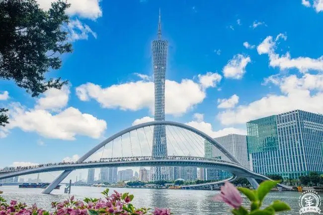 南沙跨境贸易投资高水平开放试点交易51亿美元，将争取更多政策落地 