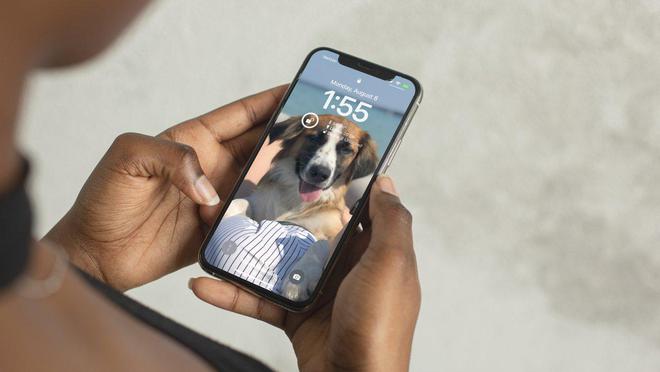 传苹果上周完成iOS 16开发 计划于9月7日随同iPhone 14发布 