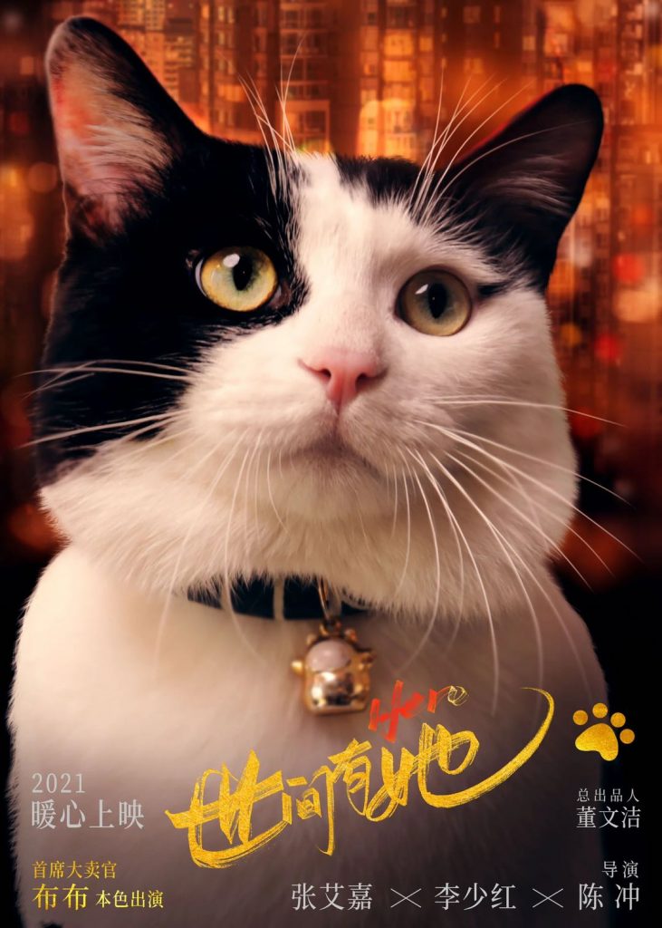 《世间有她》首映礼主创齐同框 群星荟萃引爆观影口碑