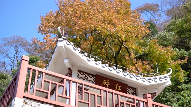 出行注意！重阳节期间，广州这些路段实行临时交通管制 