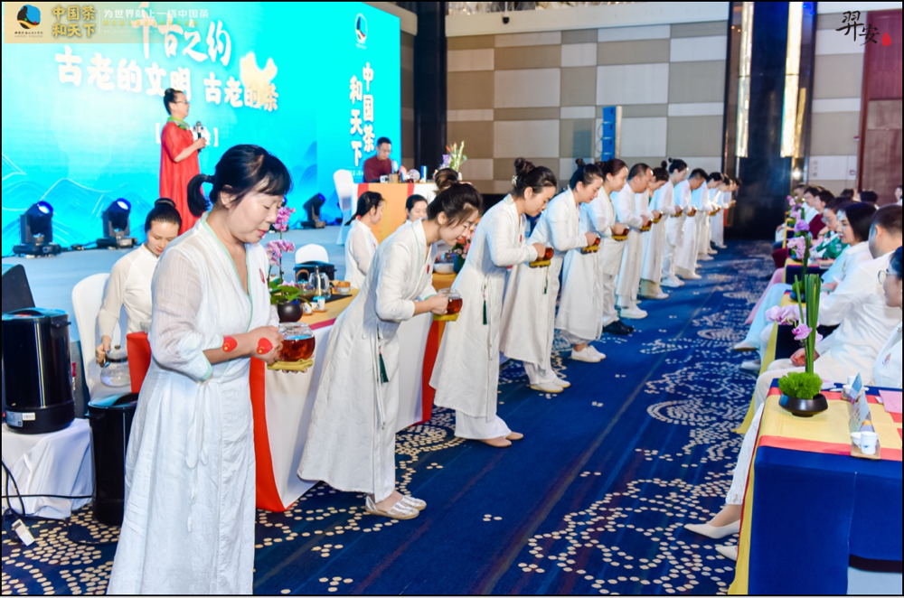 祖国母亲,新时代的茶道师们向您献上一杯中国茶——贺“中国茶,和天下”2022国庆万人茶会圆满成功