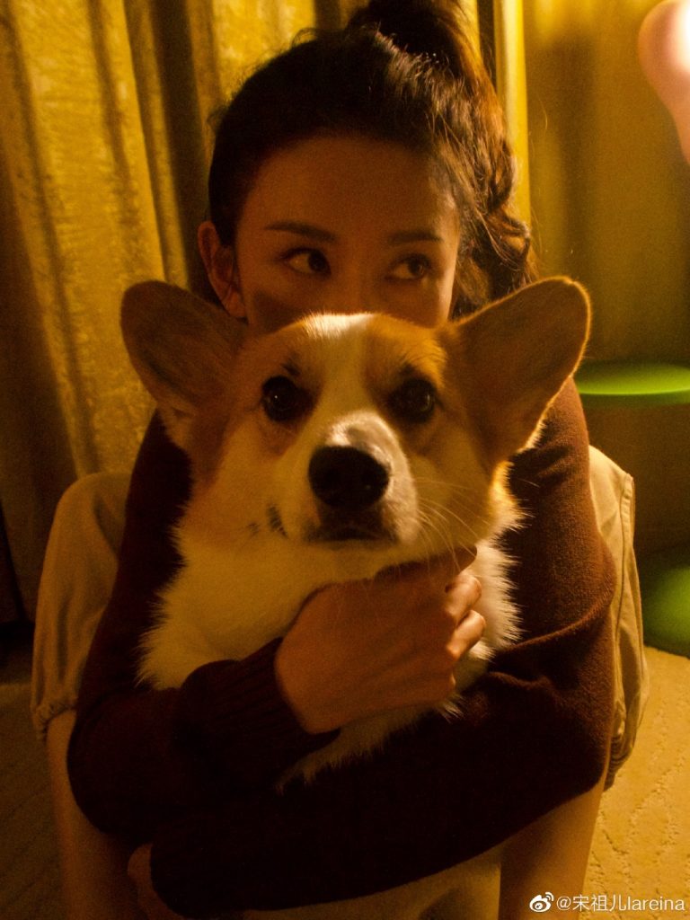 宋祖儿和爱犬合影 扎高马尾灿笑表情可爱 