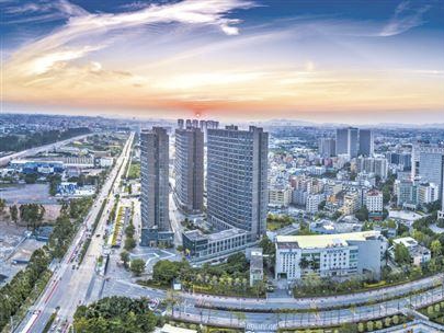 广州市白云区力促市场主体发展壮大 