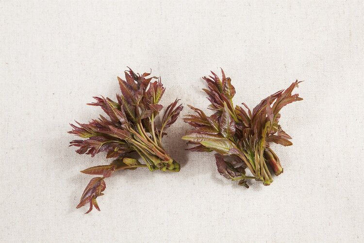 家里做饭的人注意：这4种蔬菜别忘了焯水 