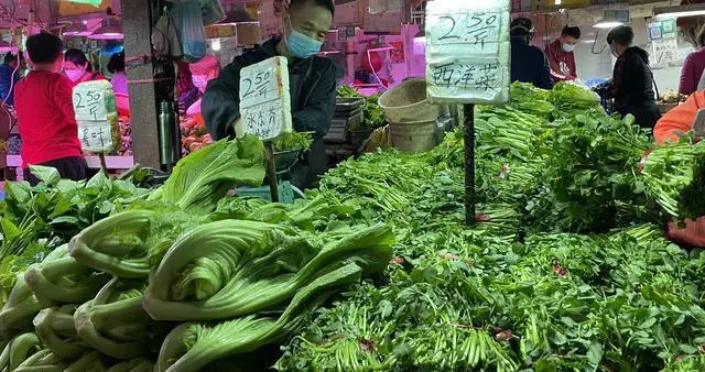 广州本地蔬菜上市，成交量上升近2成 