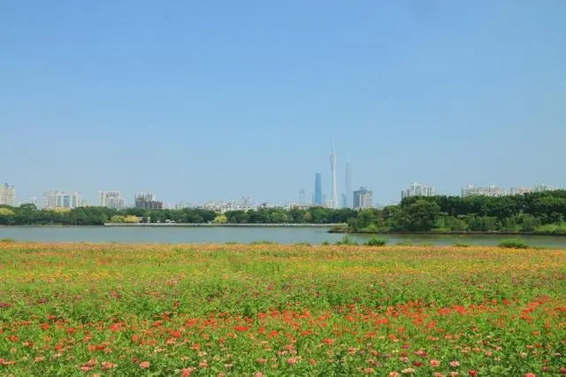  广州湿地保护管理工作成效显著