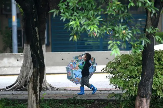冷雨下不休，广州最低气温要跌破20℃ 