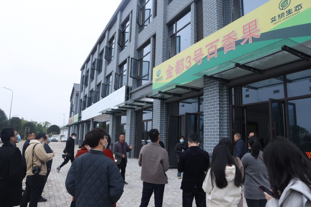 当日送达,全南县有机农产品运热销粤港澳大湾区
