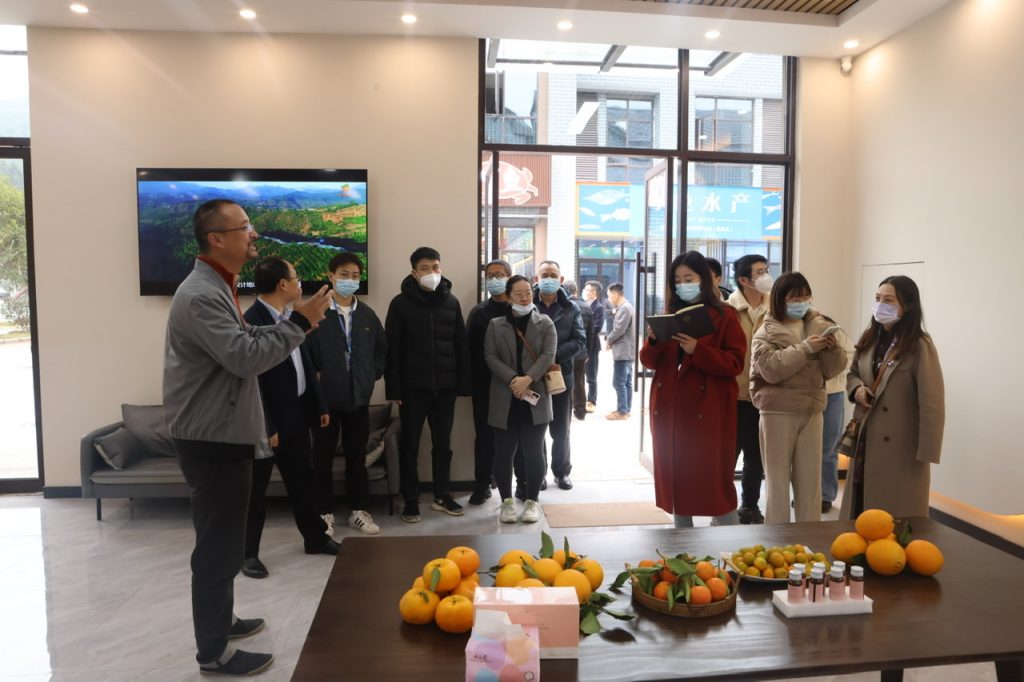 当日送达,全南县有机农产品运热销粤港澳大湾区