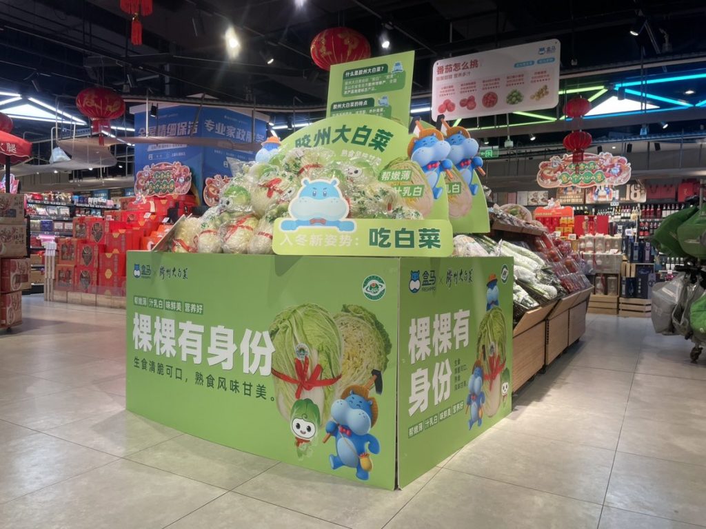棵棵有身份!来自山东“盒马村”的胶州大白菜成“网红白菜”