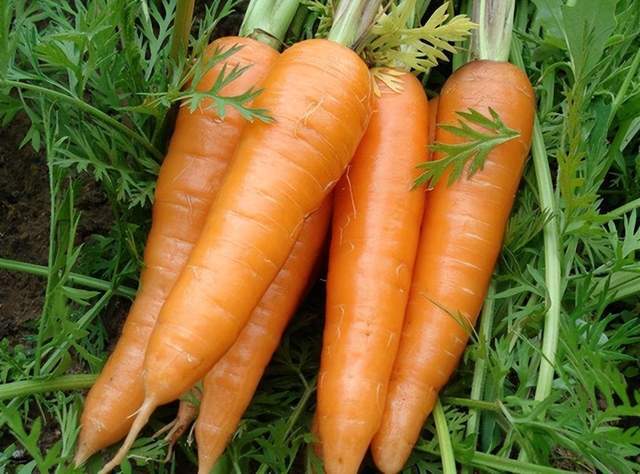 糖尿病患者可以安全食用的7种蔬菜  